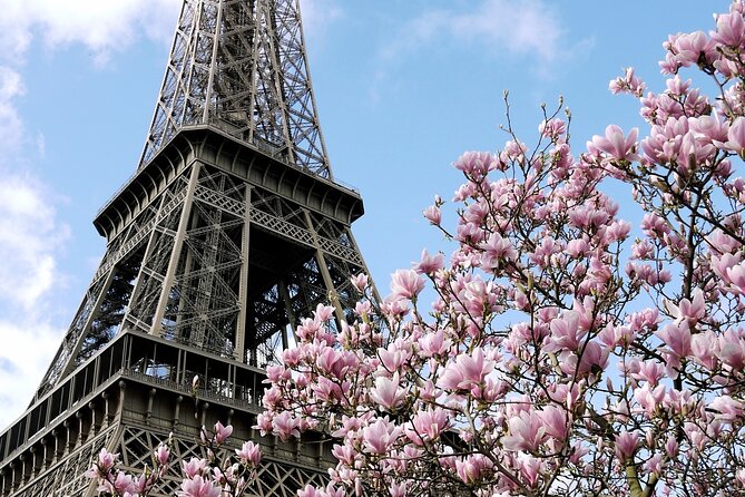 Eiffel Tower Summit Semi-Private Guided Tour - Price check: is $166.22 worth it?