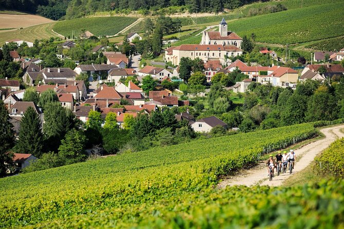 Epernay and Reims Champagne Private Day Trip from Paris - A One-Day Champagne Sweep That Actually Stays on Schedule