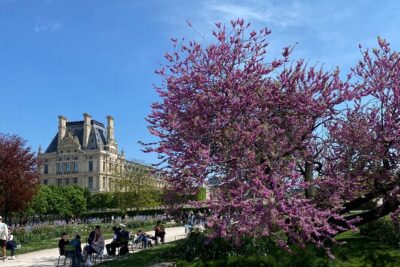 Exclusive Walking Tour of Central Paris With Local Guide - Notre-Dame de Paris: Origins, Power, and the People Behind the Stone