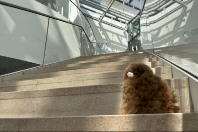 Fondation Louis Vuitton: Ticket Entry & Private Tour - Meeting up and getting inside: don’t freestyle