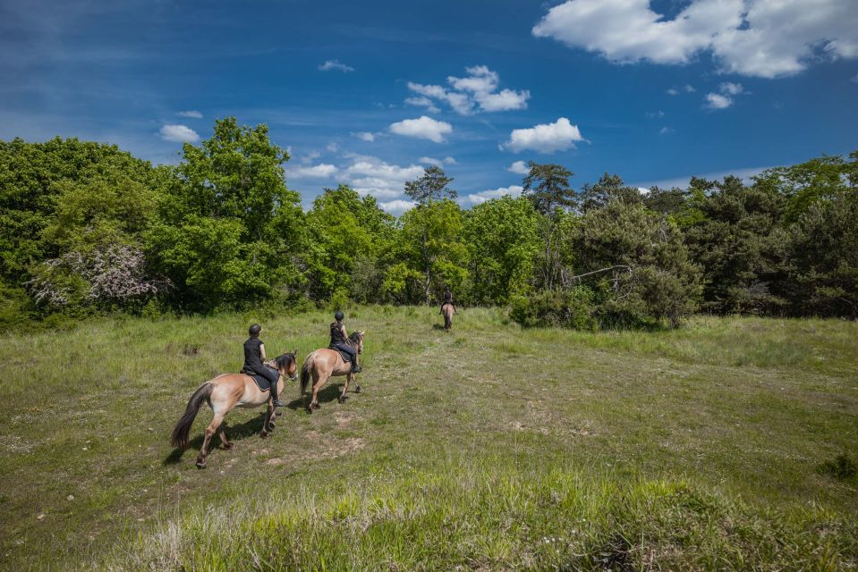 Fontainebleau : Horse-riding, Gastronomy & Château - From Paris to Fontainebleau: private pickup and a calm start