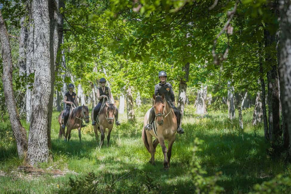 Fontainebleau : Horse-riding, Gastronomy & Château - Lunch in the Fontainebleau area (including Barbizon): 3 courses with wine tastings