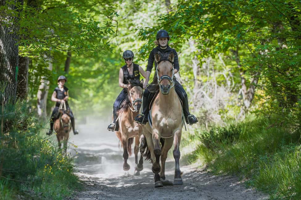 Fontainebleau : Horse-riding, Gastronomy & Château - Should you book Fontainebleau: Horse-riding, Gastronomy & Château?