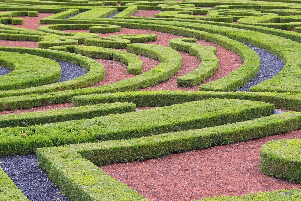Fontainebleau & Vaux-le-Vicomte Châteaux Day Tour from Paris - Garden time strategy: how to make Vaux-le-Vicomte and Fontainebleau worth it