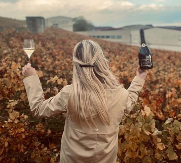 From Paris: Champagne Day Trip with 7 Tastings and Lunch - Lunch pairing reality: what works and what you may want to plan for