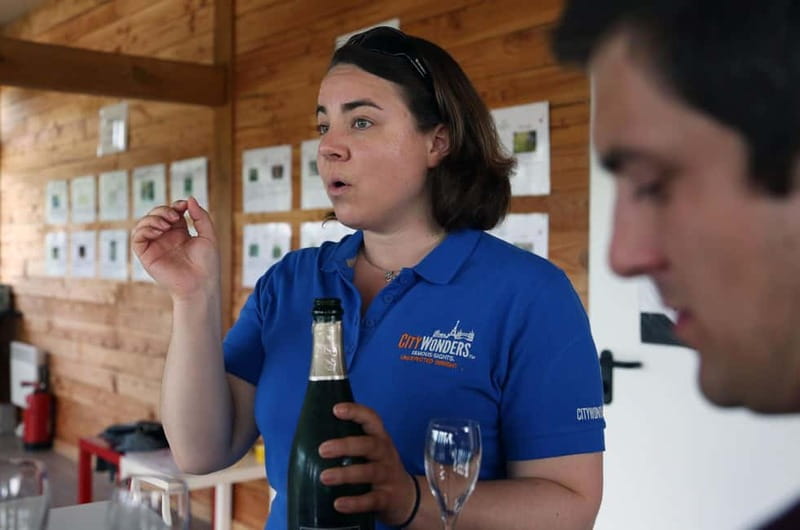 From Paris: Champagne Day Trip with 7 Tastings and Lunch - Price and value: what $293 buys on a day trip like this