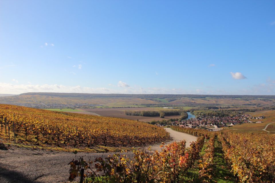 From Paris: Prestige Champagne Tour and Tastings - Language and guide style: Spanish, English, or French