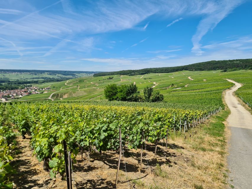 From Paris: Prestige Champagne Tour and Tastings - Hautvillers and Dom Pérignon’s abbey: more than a photo stop