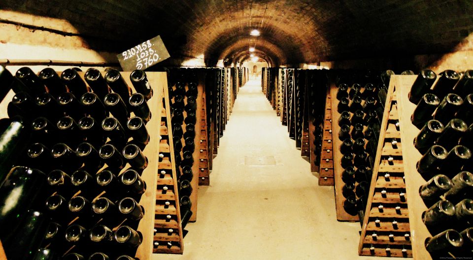 From Paris: Prestige Champagne Tour and Tastings - Comfort checklist: what to bring for cellars and château stops