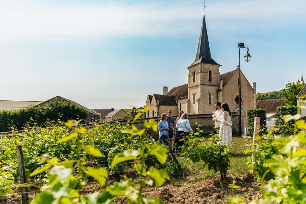 From Paris: Private Sancerre Wine Tour w 10 Tastings & Lunch - Key things you’ll remember