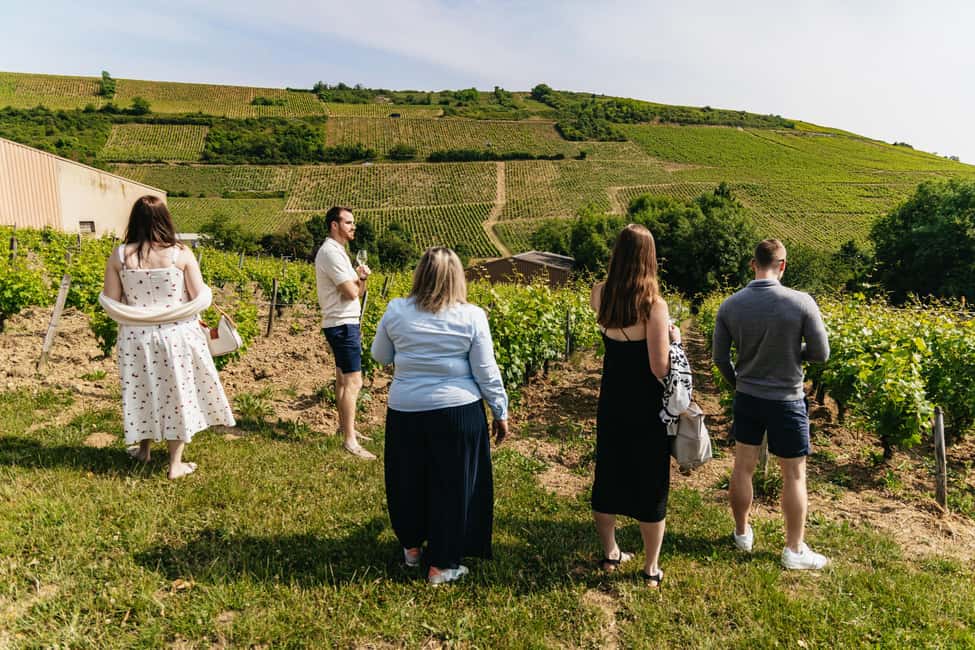 From Paris: Private Sancerre Wine Tour w 10 Tastings & Lunch - Family-run wineries: cellar time and tastings that don’t feel rushed