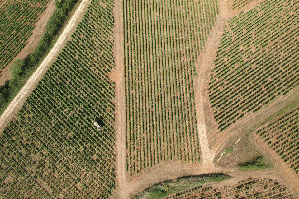 From Paris: Private Sancerre Wine Tour w 10 Tastings & Lunch - After lunch: a second winery plus neighboring appellations
