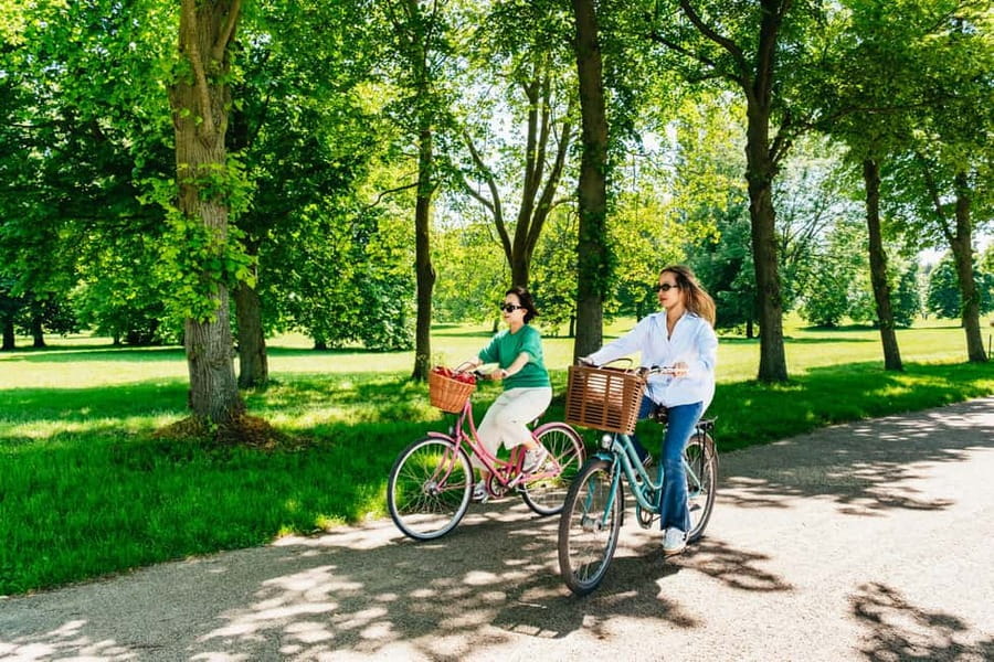 From Paris: Skip-the-Line Palace of Versailles Bike Tour - Skip-the-Line at the Château: what you see and why it’s worth it