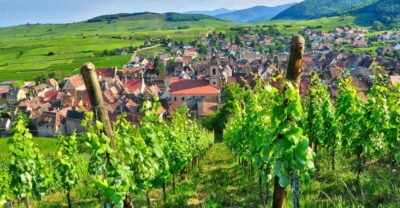 From Paris: Small-Group Champagne Day Trip with Six Tastings - Reims Cathedral: where Champagne history becomes French history