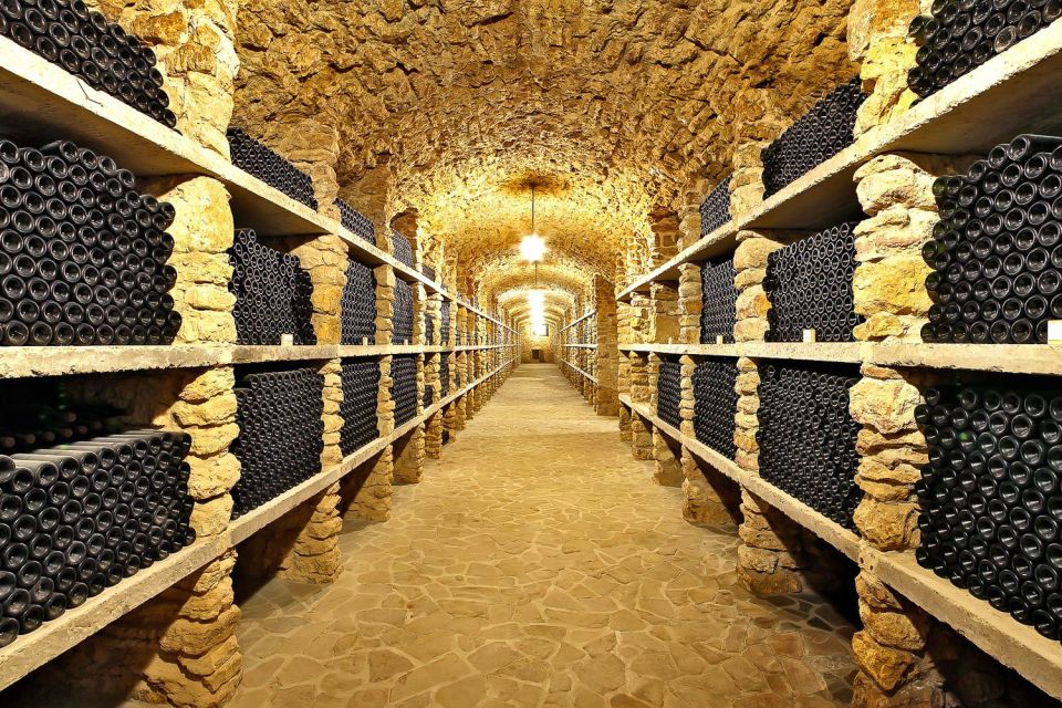 From Paris: Small-Group Champagne Day Trip with Six Tastings - Nicolas Feuillatte: seeing scale in action with three more pours