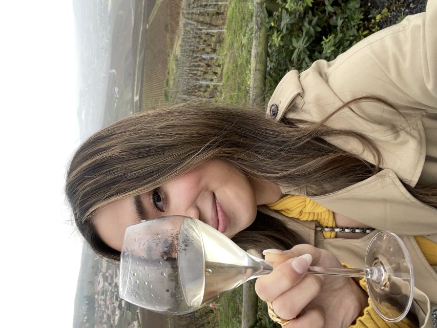 From Paris: Small-Group Champagne Tour with 3-Course Lunch - Champagne categories you’ll be able to explain after the last sip