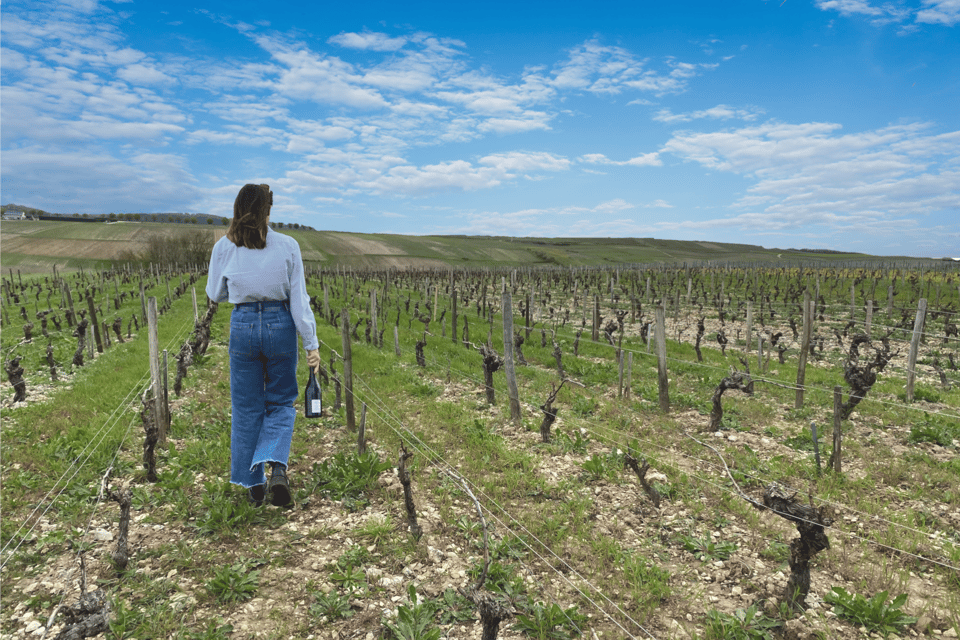 From Paris: Wine Day trip to SANCERRE w 10 Tastings & Lunch - What to pack and how to handle a long 11-hour day