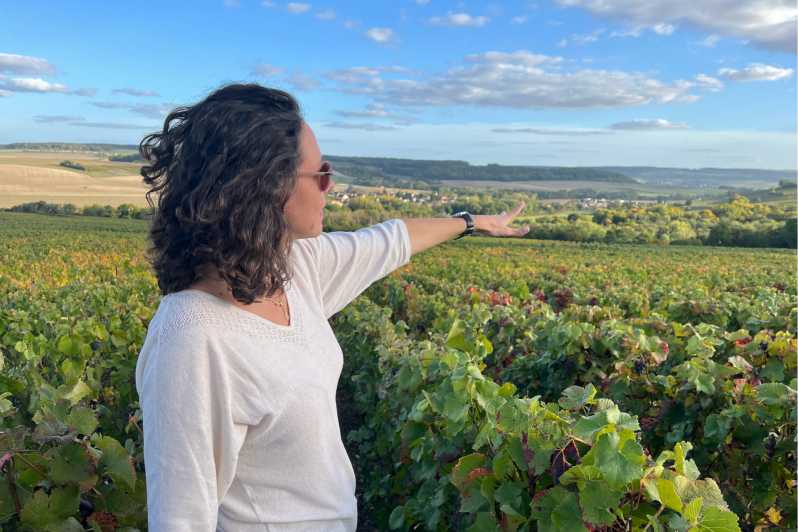 From Paris: Wine Day trip to SANCERRE w 10 Tastings & Lunch - Terroir lesson on the road: Calcaires, Terres Blanches, and Silex