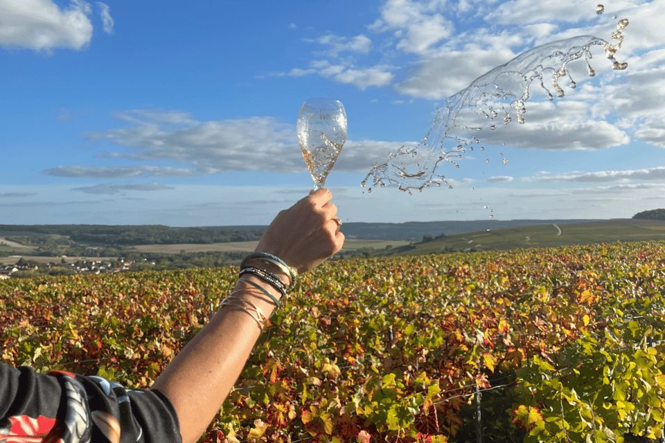 From Paris: Wine Day trip to SANCERRE w 10 Tastings & Lunch - Your 10+ wine tastings: how the day helps you compare Sancerre styles