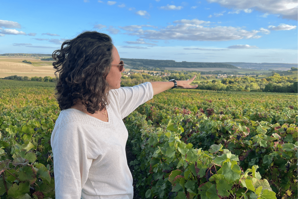 From Paris: Wine Day trip to SANCERRE w 10 Tastings & Lunch - From Paris pickup to the first sip: what the morning sets you up for