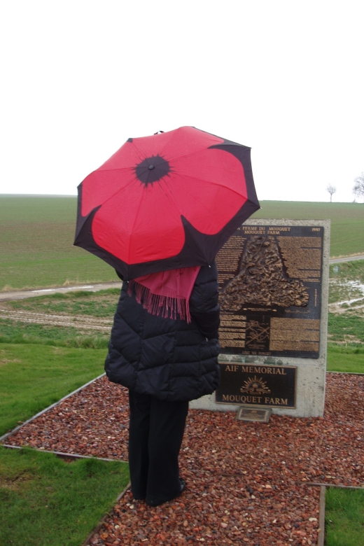 From Paris: WWI Somme Battlefields Full-Day Tour - Accessibility and who this tour suits best