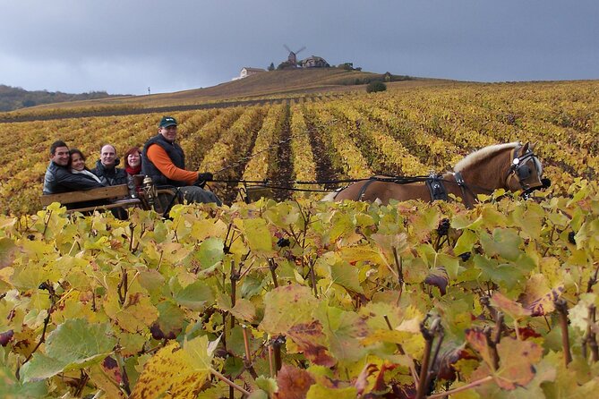 Full Day All-inclusive Tour in Champagne from Paris in a Minivan - Key highlights worth your time
