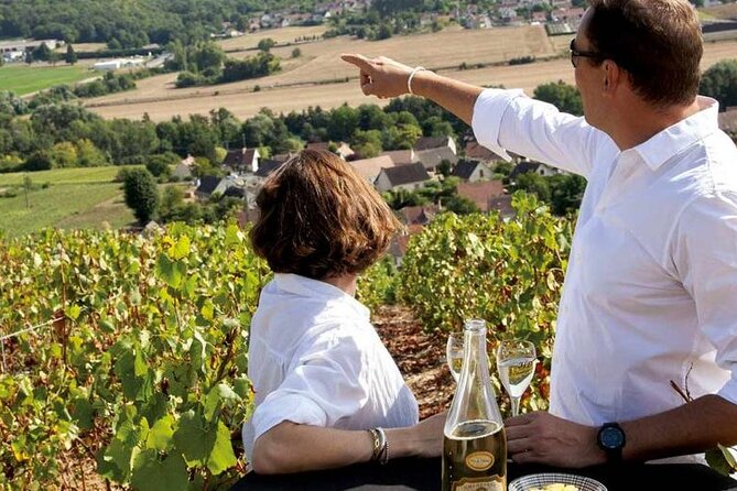 Full-Day Private Champagne Tasting in Reims and its Vineyards - Key highlights worth paying attention to