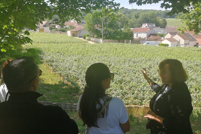 Full-Day Private Champagne Tasting in Reims and its Vineyards - Champagne House stop in Reims: cellars, process, and 3 glasses