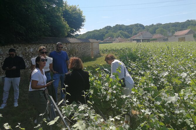 Full-Day Private Champagne Tasting in Reims and its Vineyards - Lunch in Bezannes: good reset time (and a specific setting)