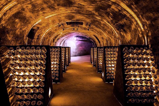 Full-Day Private Champagne Tasting in Reims and its Vineyards - Your private guide and driver: less stress, more attention
