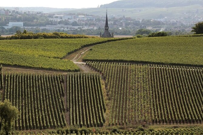 Full-Day Private Champagne Tasting in Reims and its Vineyards - Price and value: is $718.55 per person worth it?