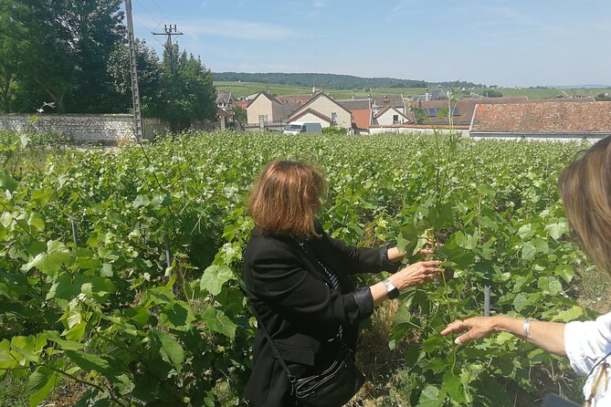 Full-Day Private Champagne Tasting in Reims and its Vineyards - Who this tour suits best (and who should skip it)