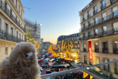 Full Day Private Guided Tour of Paris and Versailles - Paris by Van: A 2-Hour Orientation That Helps You Feel Oriented