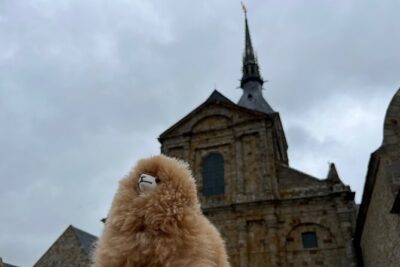 Full-day Private Tour in Mont Saint Michel with Calvados Tasting - Price and Logistics: What You’re Really Paying For