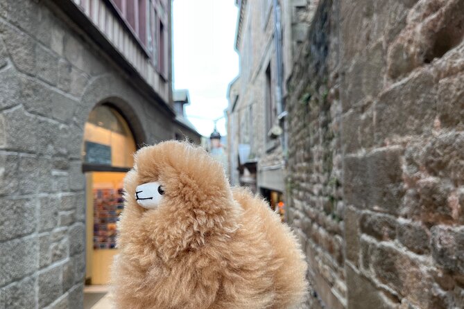 Full-day Private Tour in Mont Saint Michel with Calvados Tasting - The Drive to Normandy: Comfort and Timing for a 13-Hour Day