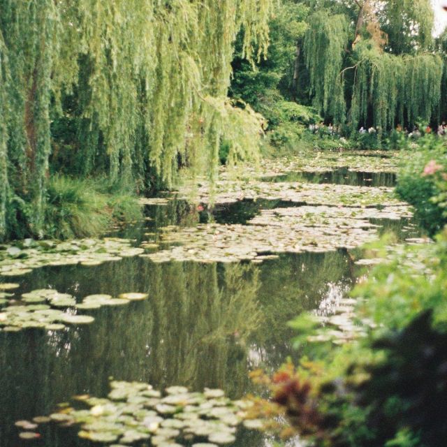 Giverny : Monet's house & Gardens Private tour from Paris - The gardens that explain the paintings: water lilies, bridges, color
