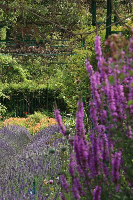 Giverny Private Guided Walking Tour - The Gardens as a Working Studio: light, color, and flower logic