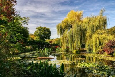 Giverny Private Tour: Monet's House & Garden - Stop 1: Giverny Town in About an Hour