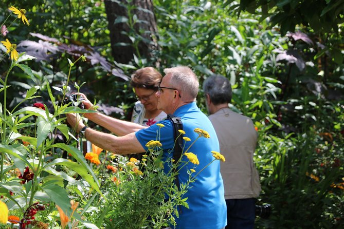 Giverny's House & Gardens plus Versailles Palace Day Trip with Lunch from Paris - Price and value: what $387.31 covers in real terms