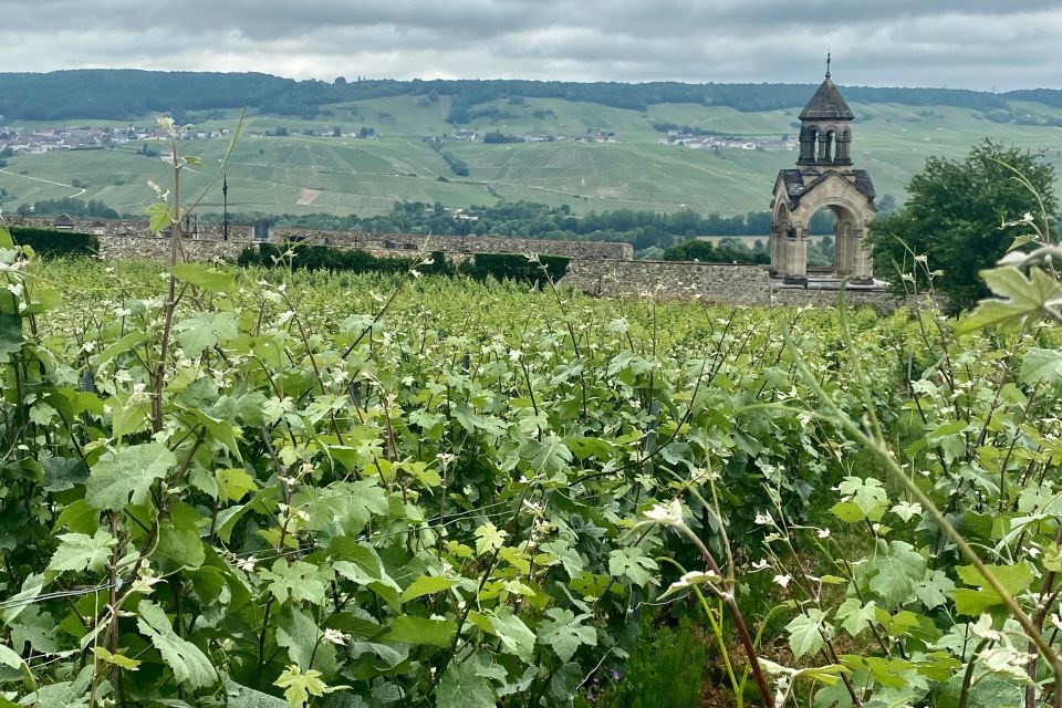 Grand Vintage Private Champagne Moet Chandon Veuve Clicquot - Who this private Champagne day trip is best for