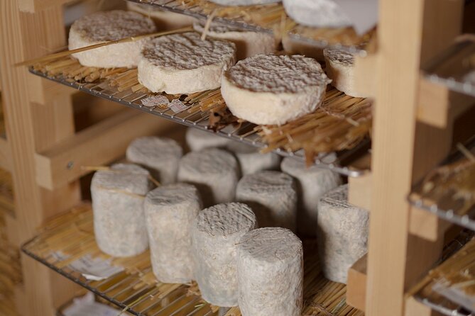 Guided visit of the Cheese Museum with Tasting Included - Inside the museum: history, techniques, and those small artisanal gestures