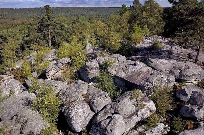Half-Day Bouldering in Fontainebleau - Fontainebleau Forest: Why this spot fits both first-timers and climbers