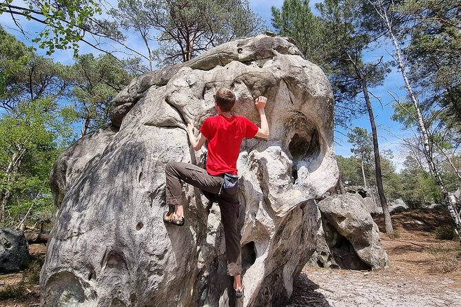 Half-Day Bouldering in Fontainebleau - Getting to and from the forest: meeting point and practical timing