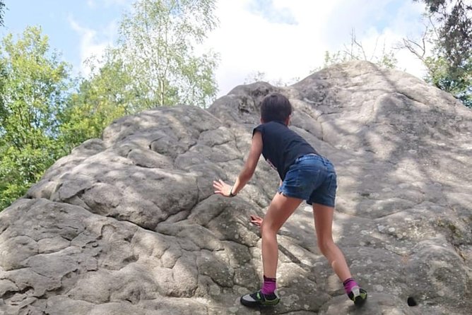 Half-Day Bouldering in Fontainebleau - Your 3-hour session: what the day typically feels like