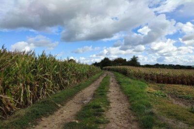 Hiking Adventure in Van Gogh's footsteps (6 miles walk) - Pontoise on foot: where impressionist thinking meets the trail