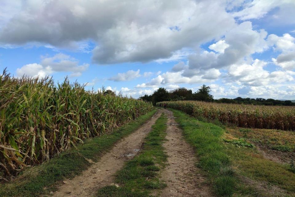 Hiking Adventure in Van Gogh's footsteps (6 miles walk) - Pontoise on foot: where impressionist thinking meets the trail