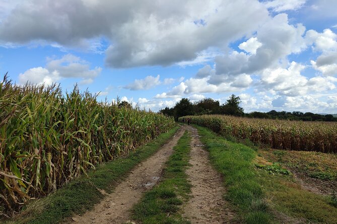 Hiking Adventure in Van Gogh's Footsteps with 6 miles walk - Cimetiere Auvers-sur-Oise: a quiet endpoint with meaning