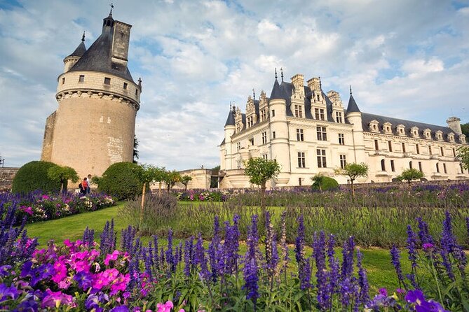 Loire 3 Best Castles with Wine Tasting Private trip from Paris - Plou et Fils wine tasting: a family estate with at least seven pours