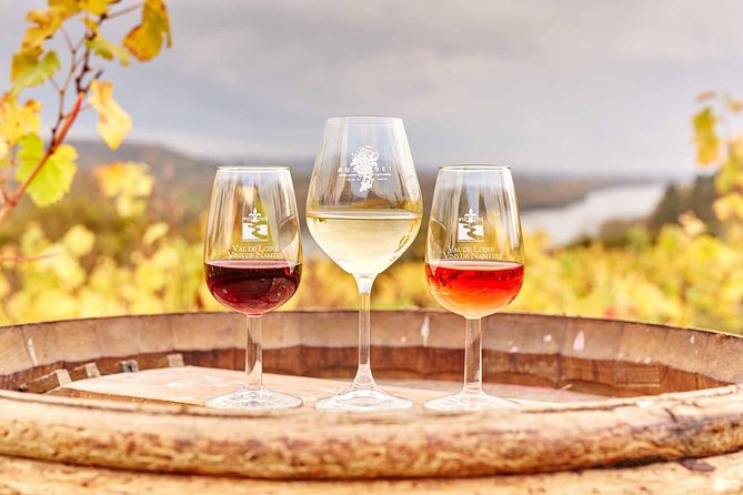 Loire Valley 2 Days private tour all inclusive from Paris with train tickets - Key highlights you’ll care about