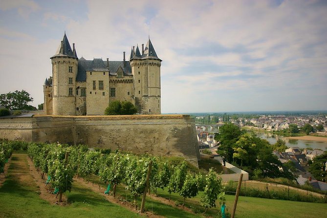 Loire Valley Castles and Wineries Private VIP Day Trip with Lunch - Key things to know before you go